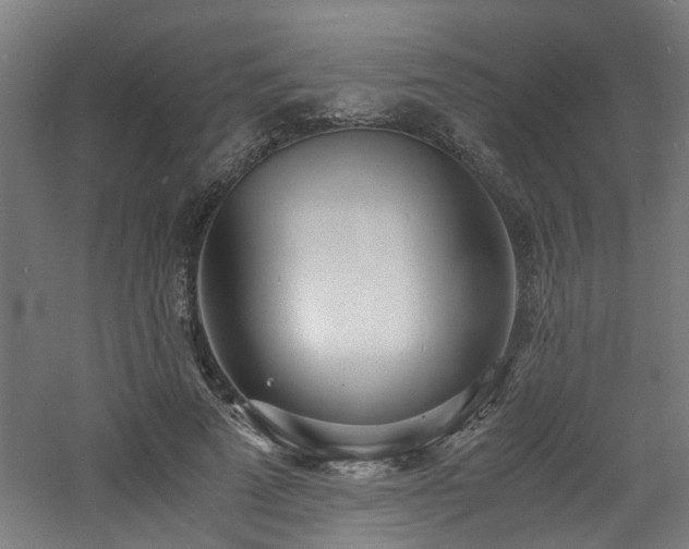 X0000060770689200511101214