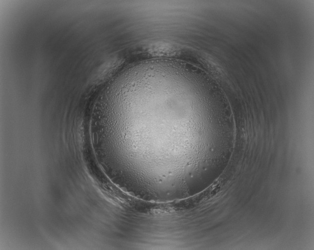 X0000060770690200511101214