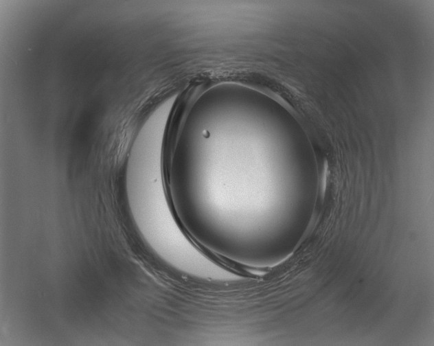 X0000060770691200511101214