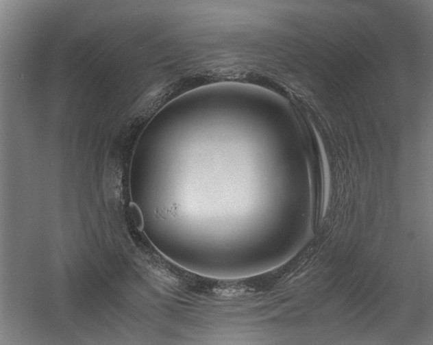 X0000060770693200511101214