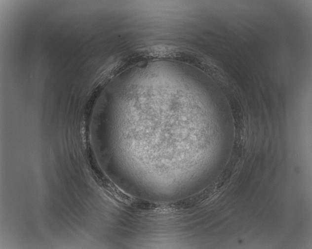 X0000060770696200511101214