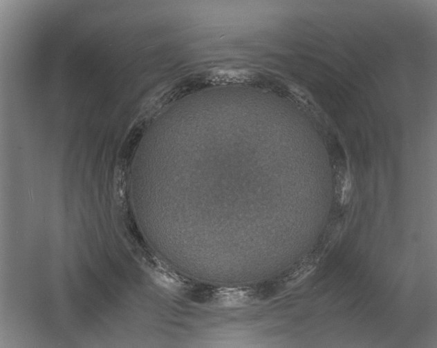 X0000060770701200511101214