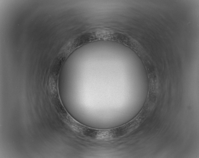 X0000060770705200511101214