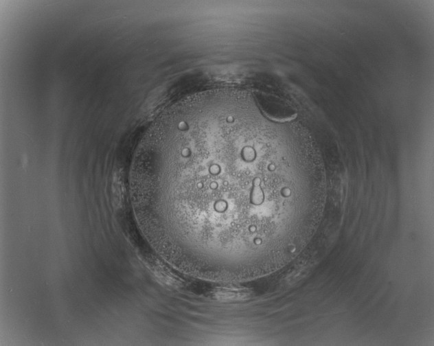 X0000060770707200511101214