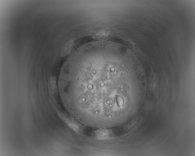 X0000060770711200511101214