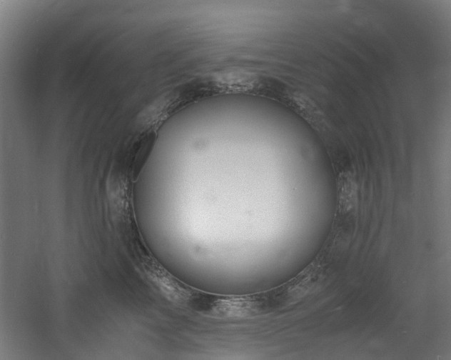 X0000060770713200511101214