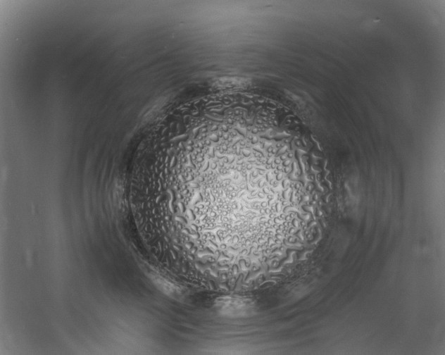 X0000060770714200511101214