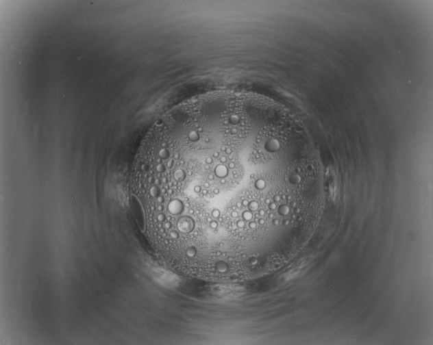 X0000060770719200511101214