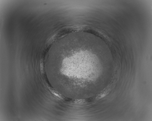 X0000060770720200511101214