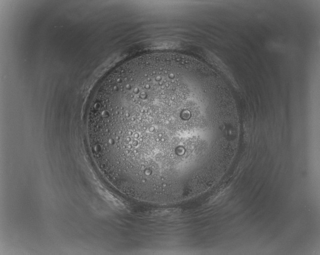 X0000060770721200511101213