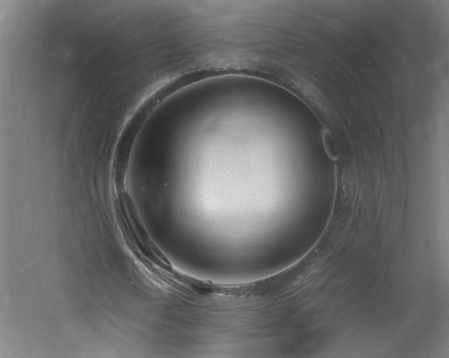 X0000060770722200511101213