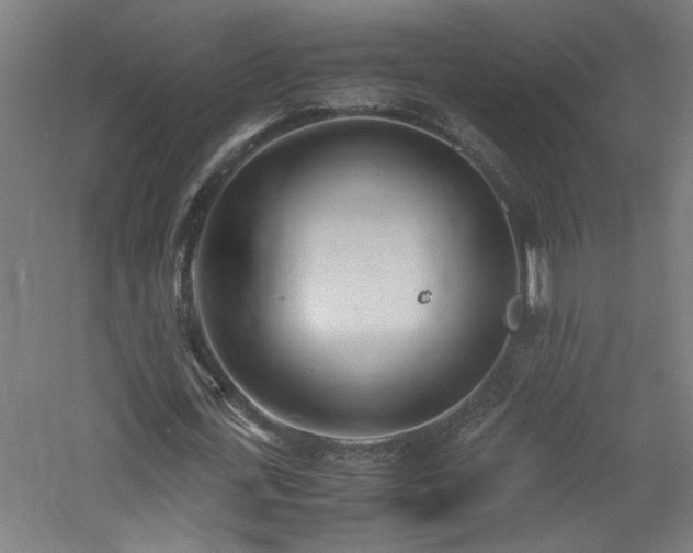 X0000060770723200511101213