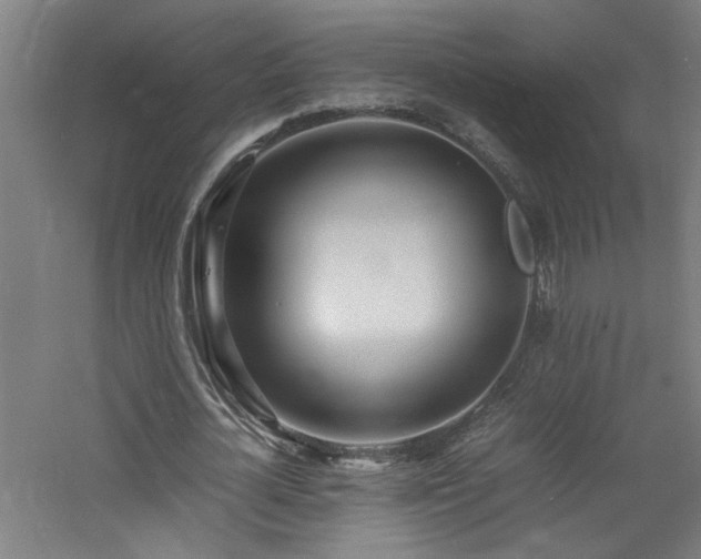 X0000060770724200511101213