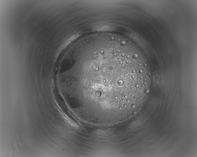 X0000060770725200511101213