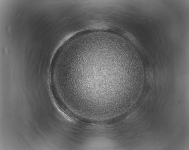 X0000060770726200511101213