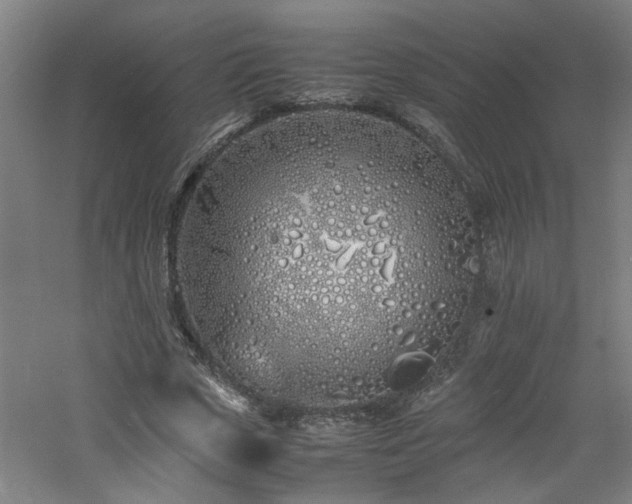 X0000060770729200511101213