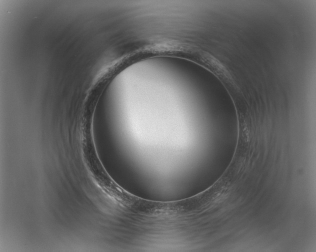 X0000060770732200511101213