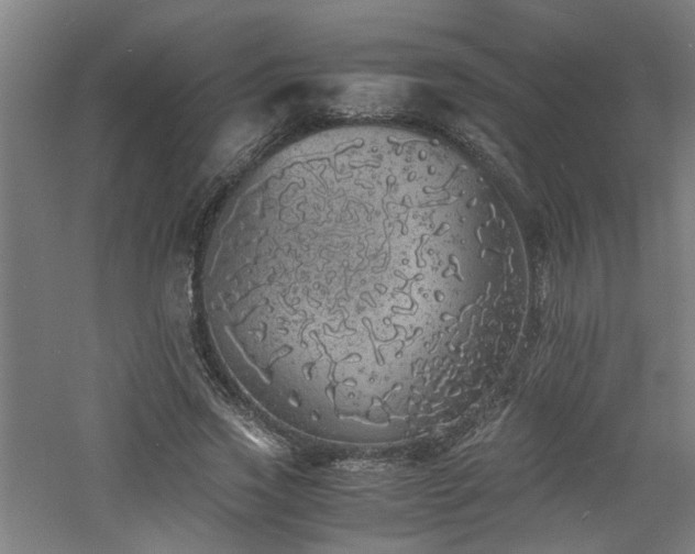 X0000060770733200511101213