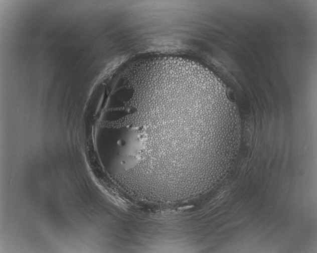 X0000060770734200511101213