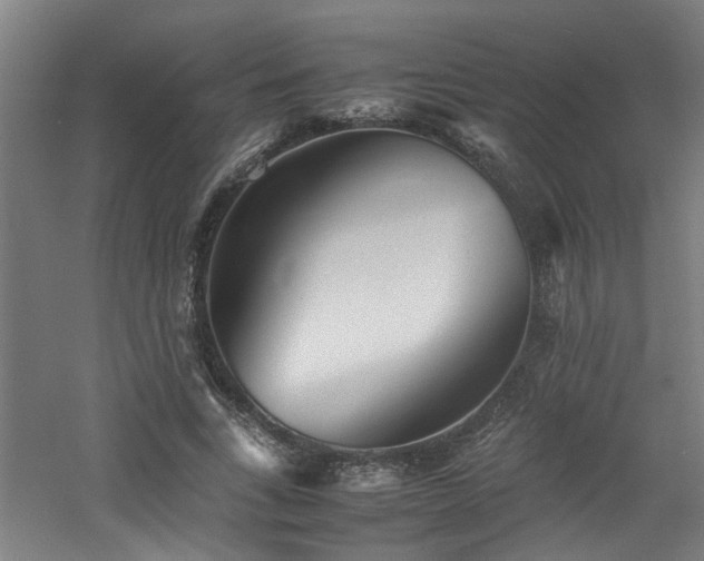 X0000060770735200511101213