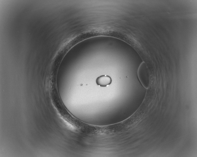 X0000060770736200511101213