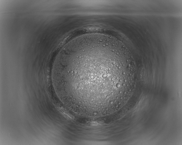 X0000060770737200511101213