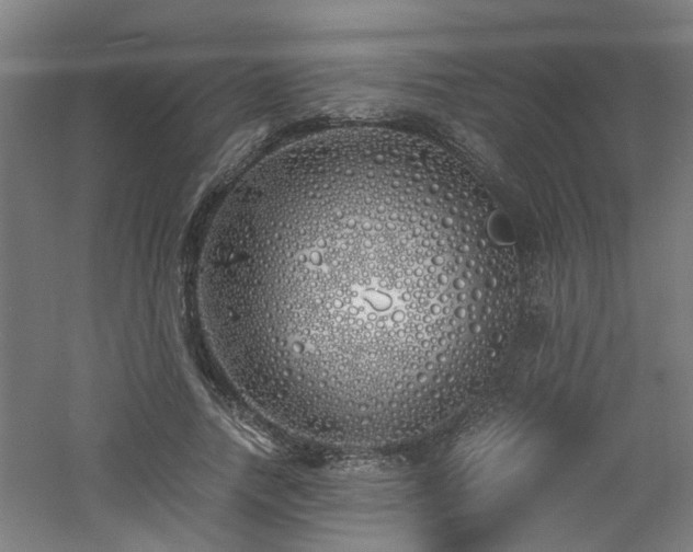 X0000060770738200511101213