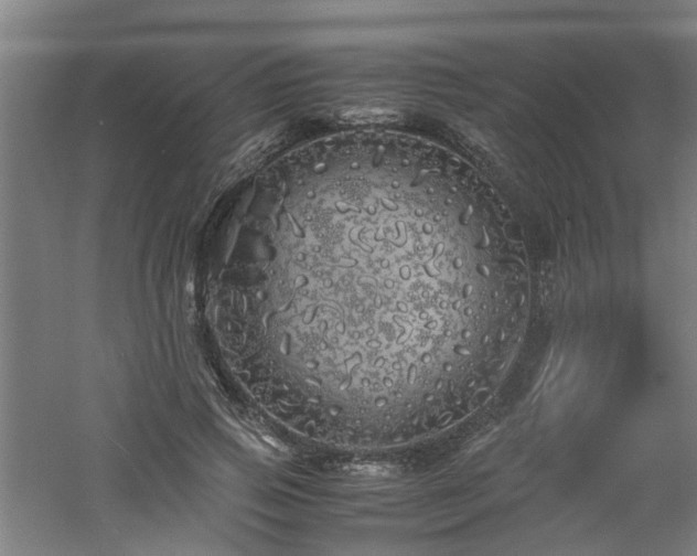 X0000060770741200511101213