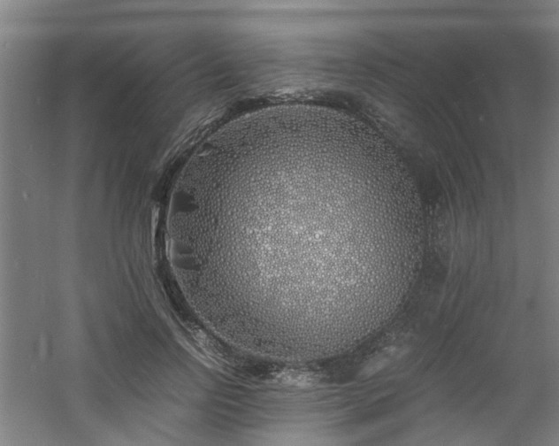 X0000060770742200511101213