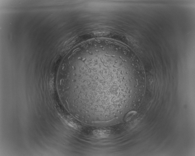 X0000060770745200511101213