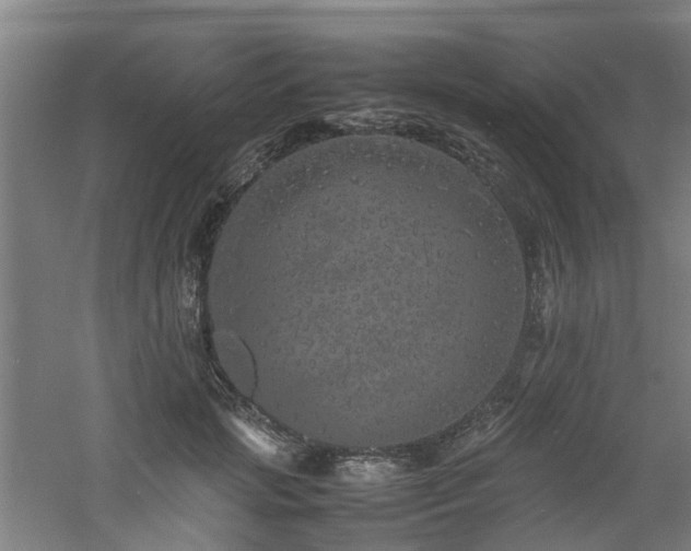 X0000060770749200511101213