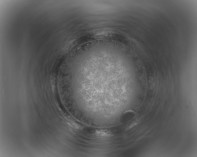 X0000060770753200511101214