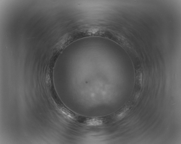 X0000060770754200511101214