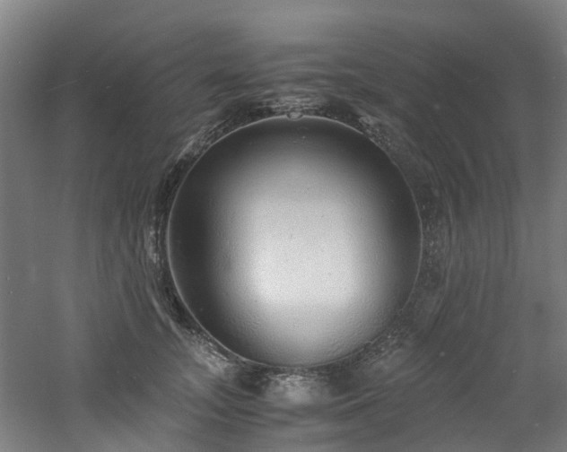 X0000060770755200511101214