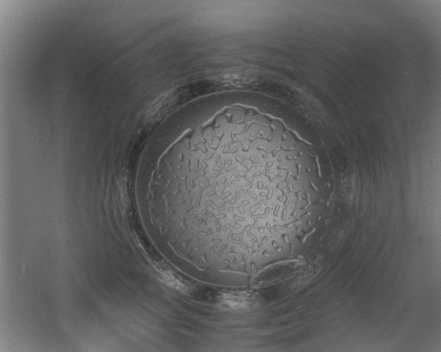 X0000060770757200511101214