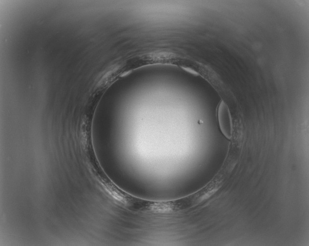 X0000060770762200511101214