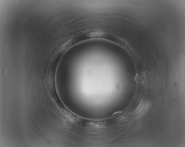 X0000060770763200511101214