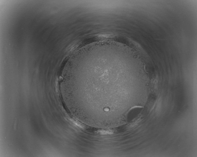 X0000060770765200511101214