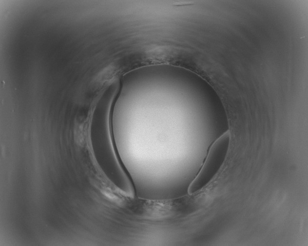 X0000060770768200511101214