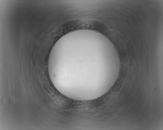 X0000060770769200511101213