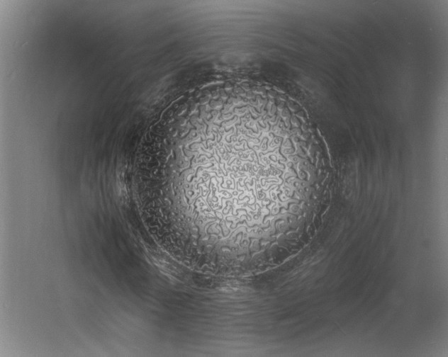 X0000060770770200511101213