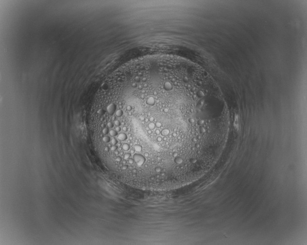 X0000060770771200511101213