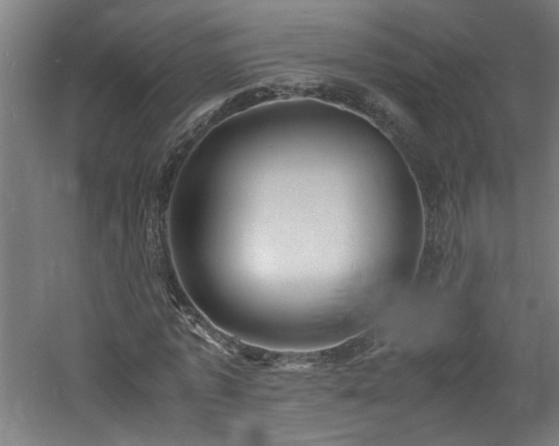 X0000060770773200511101213