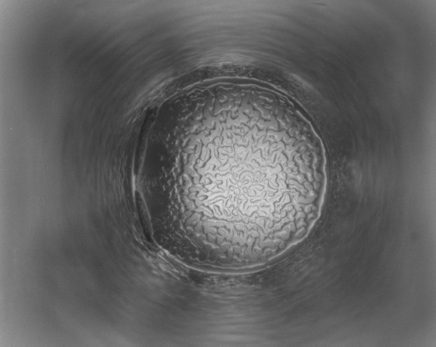 X0000060770774200511101213