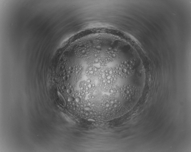 X0000060770775200511101213