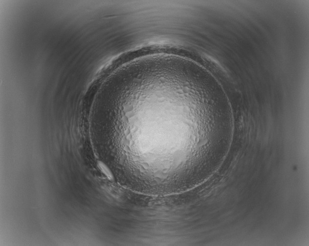 X0000060770776200511101213