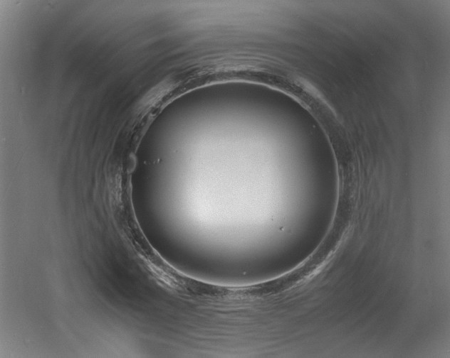 X0000060770777200511101213