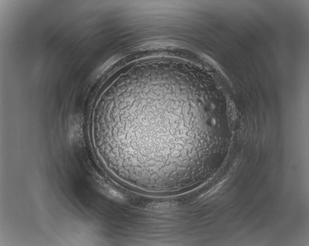 X0000060770778200511101213