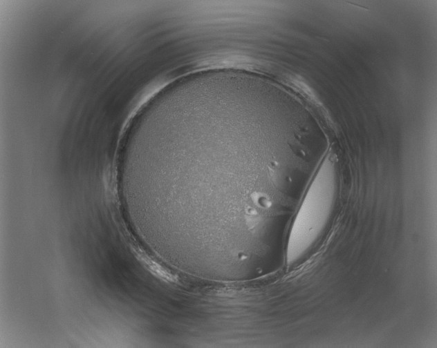 X0000060770780200511101213