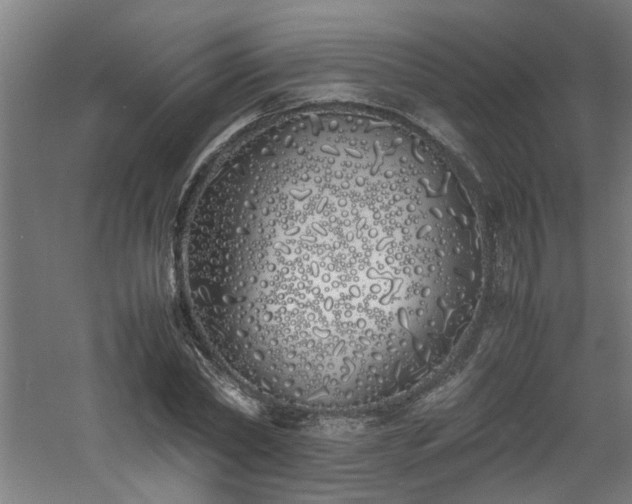 X0000060770782200511101213